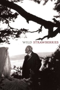 دانلود فیلم Wild Strawberries 1957 توت فرنگی های وحشی