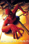 دانلود فیلم Spider Man 1 2002 مرد عنکبوتی ۱